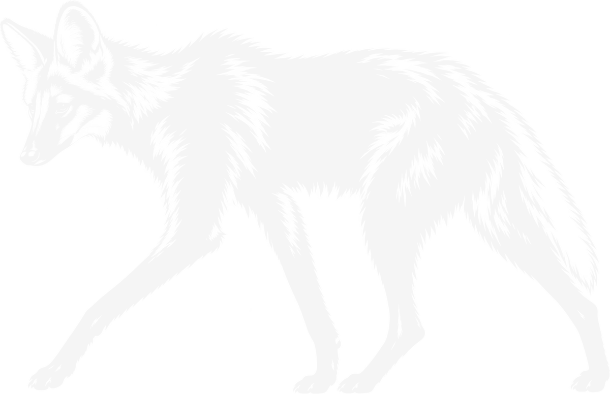 Lobo-guará branco